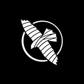 Hayabusa