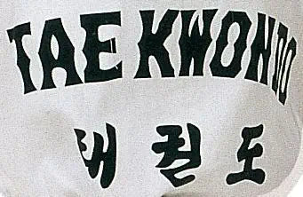 Taekwondo Dobok - Hayashi - 'Taeguk' - Med Tryk