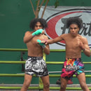 Muay Thai Shorts - Fairtex - BS1949 - Grunge Black